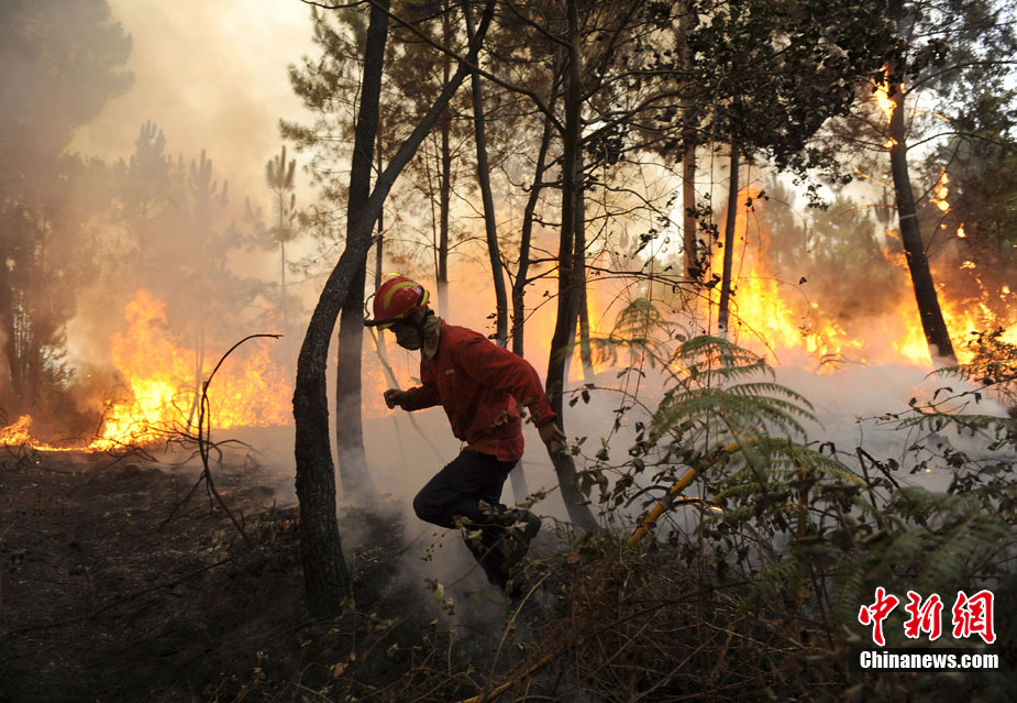 葡萄牙:气温高达40摄氏度 引发山林大火狂烧不