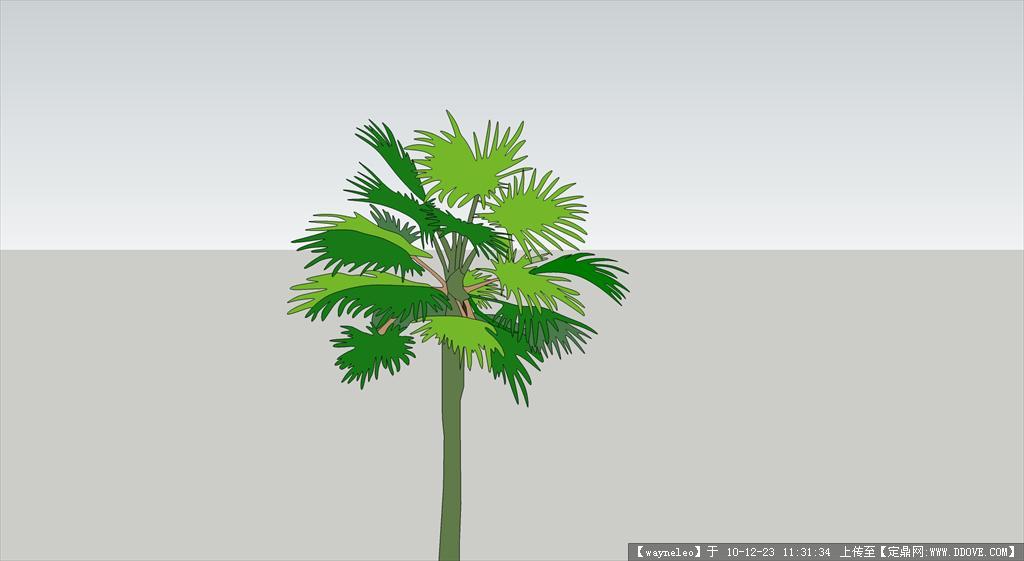 植物SU模型3 棕榈()