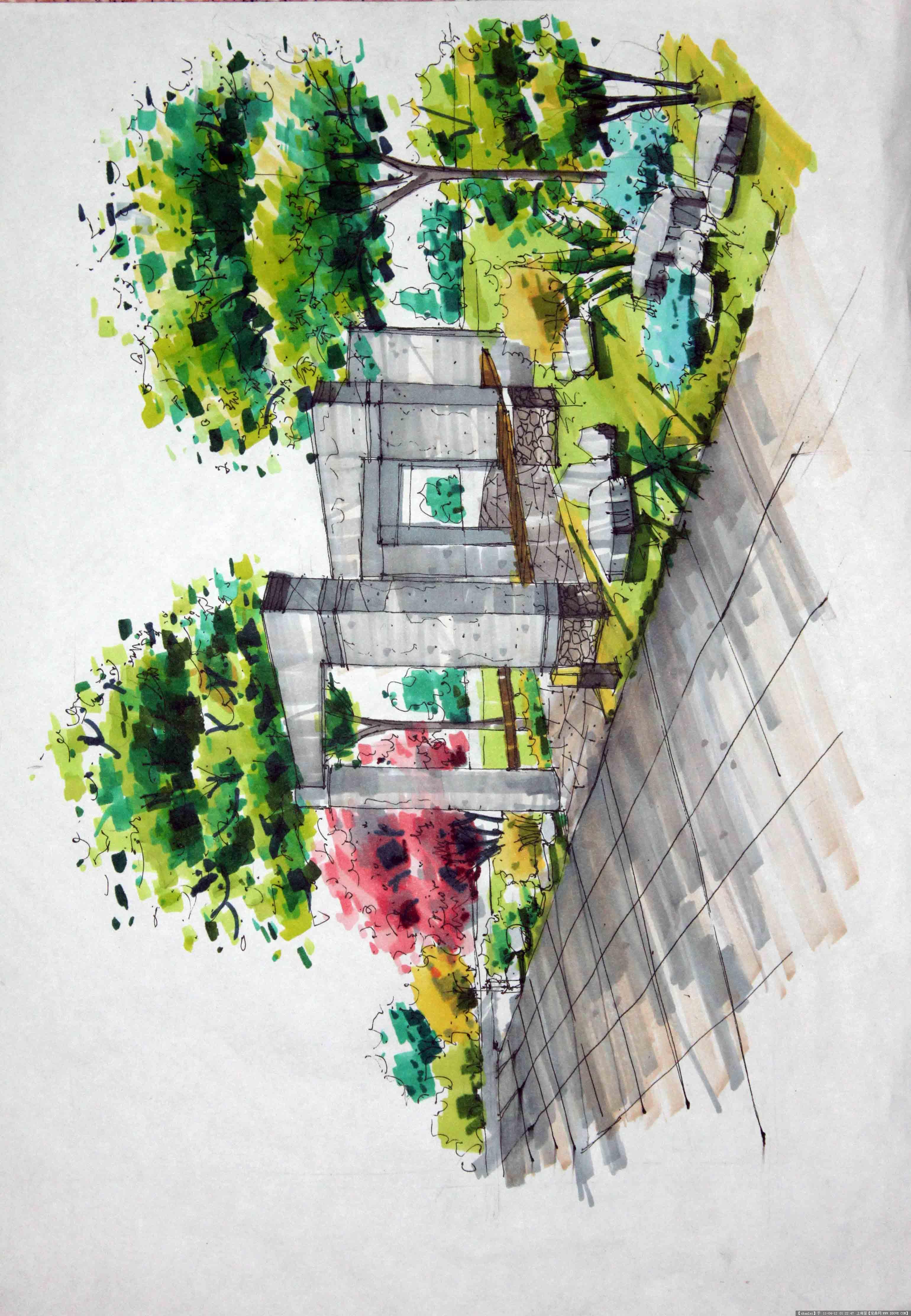 定鼎网 定鼎园林 园林效果图 城市广场 自己课堂上的校园广场手绘设计
