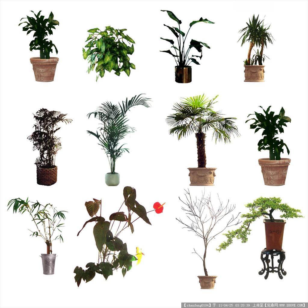 高清绿色植物ppt背景图片|ppt宝藏提供