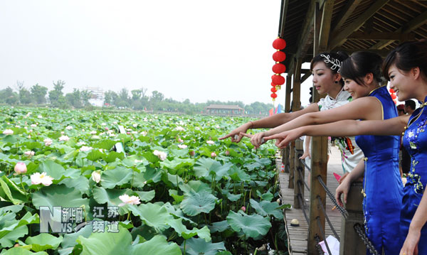 园林设计,景观设计,园林施工,园林植物,景观图纸,效果图,景观图片