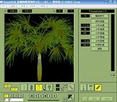 植物制作四件套之一——棕榈树模型制作软件