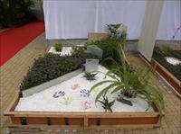 小花园设计作品展