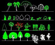 园林立面植物图例1份