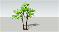 植物SU(草图大师)模型  手绘树