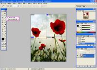 Adobe photoshop 7.0简体中文版