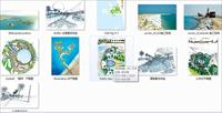 阿联酋艾尔马坚岛总体规划图片资料-中图
